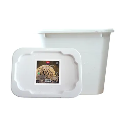 ICE CREAM CAPPUCCINO 8L