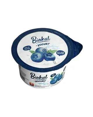 YOGURT STIRRED BLUEBERRY 80 ML