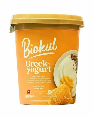 YOGURT GREEK HONEY 473 GR