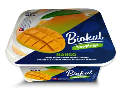 YOGURT GREEK WITH TOPPING MANGO 100G